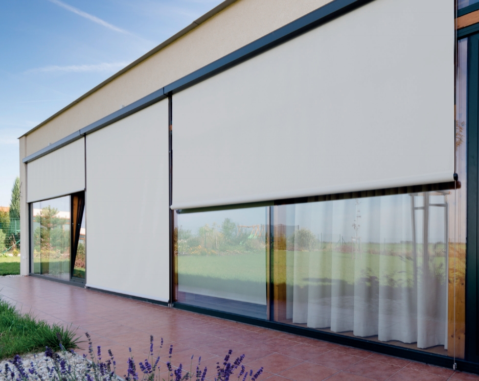 Screen roller blinds