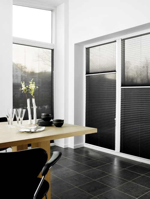 Pleated blinds